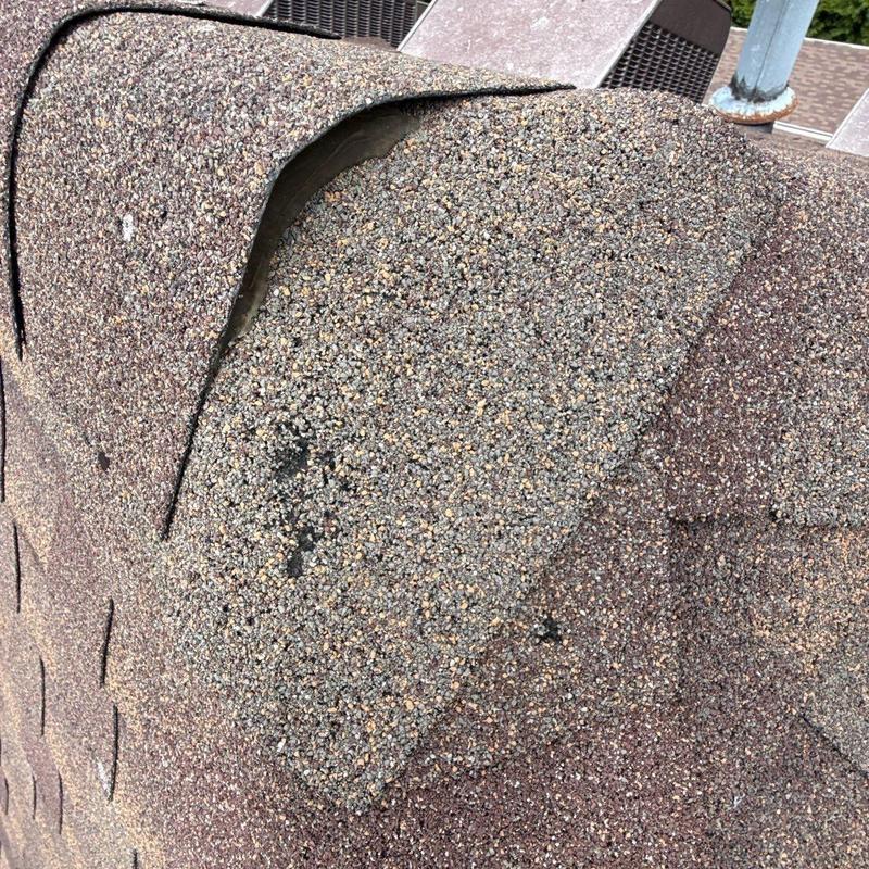 Roof shingles lifting and damage with exposed underlayer