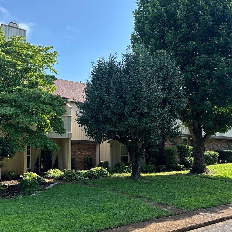 Residential shingle roof with hail damage inspection