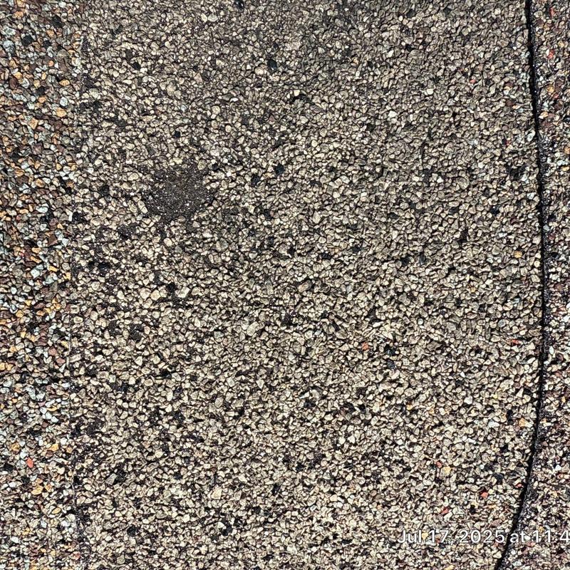 Asphalt shingle roofing granule wear and damage close-up