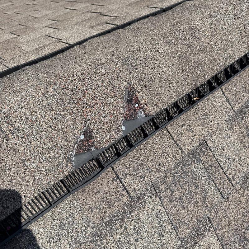 Asphalt shingles with hail damage near ridge vent