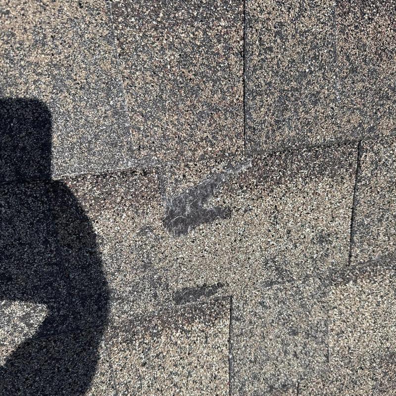 Asphalt shingles with visible hail damage and wear