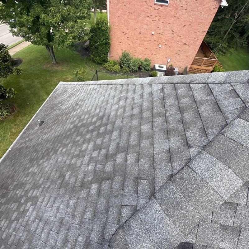 Asphalt Shingle Roof with Visible Hail Damage Inspection