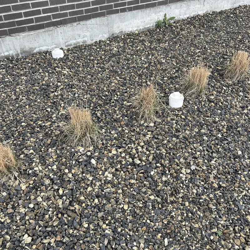 6-inch mainline drain vent caps outside brick building 6-inch mainline drain vent caps outside brick building