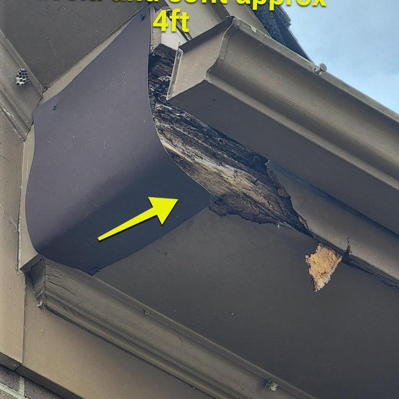 Fascia board with water damage near gutter Fascia board with water damage near gutter