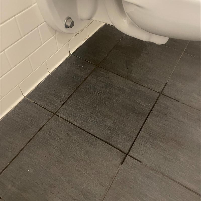 Flushometer toilet leak with water on floor tiles