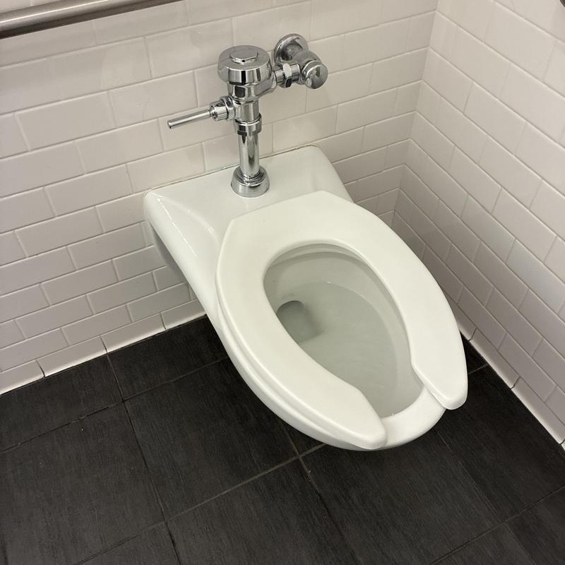 Flushometer toilet with chrome flush valve replacement