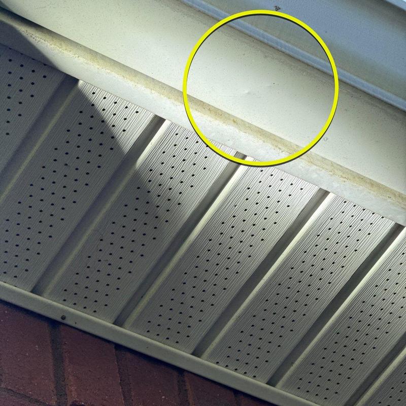 Gutter dent and shingle roof soffit inspection area