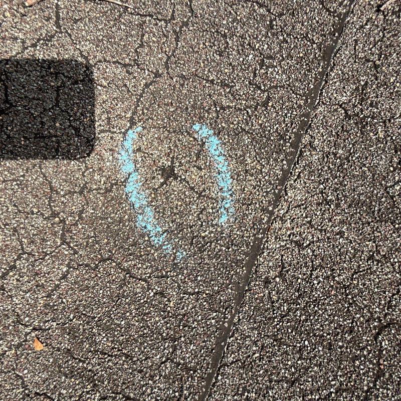 Asphalt shingle hail damage marked on roof surface
