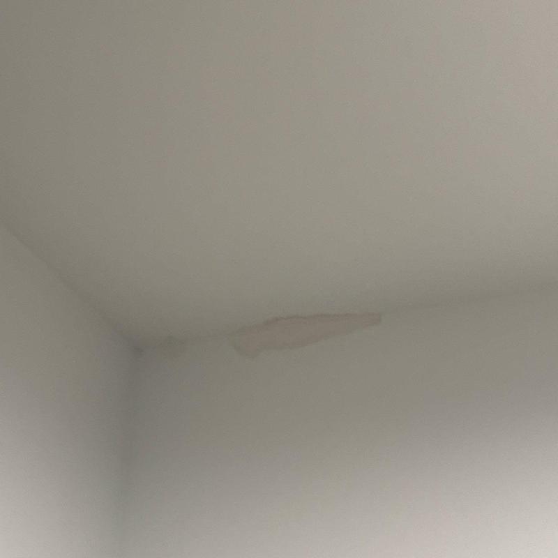 Ceiling drywall with water damage and peeling paint