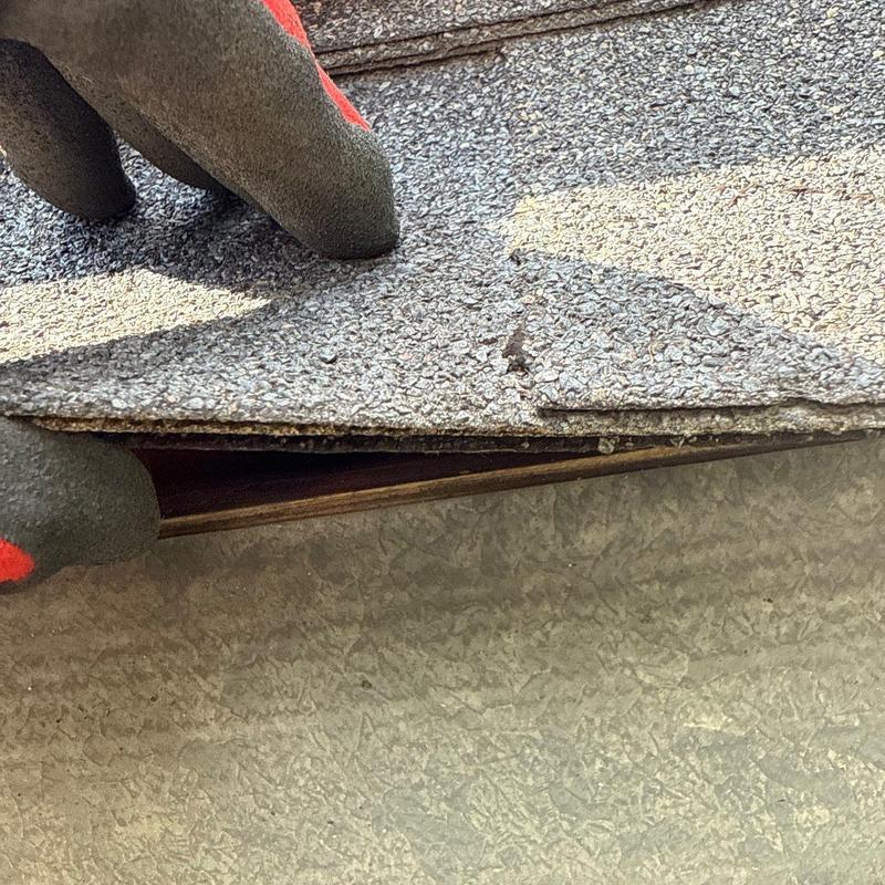 Asphalt shingle roof showing edge damage and lifting layers