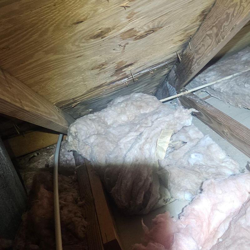 Roof decking with water damage and insulation