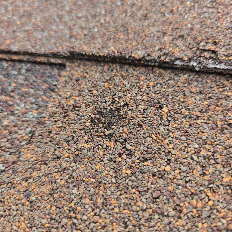 Asphalt shingle roof granule loss after hail impact