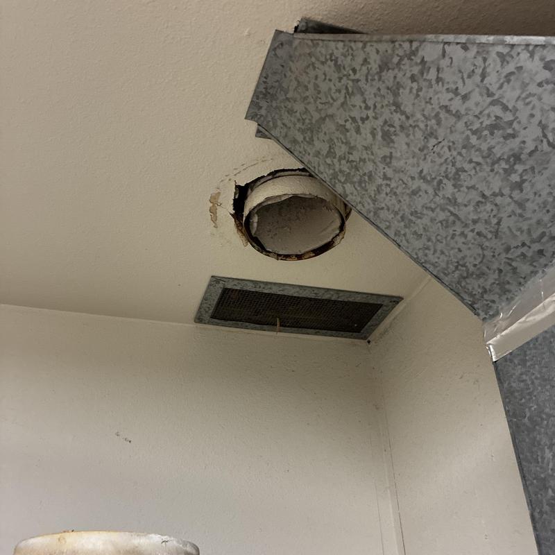 Water heater vent pipe with roof exhaust opening