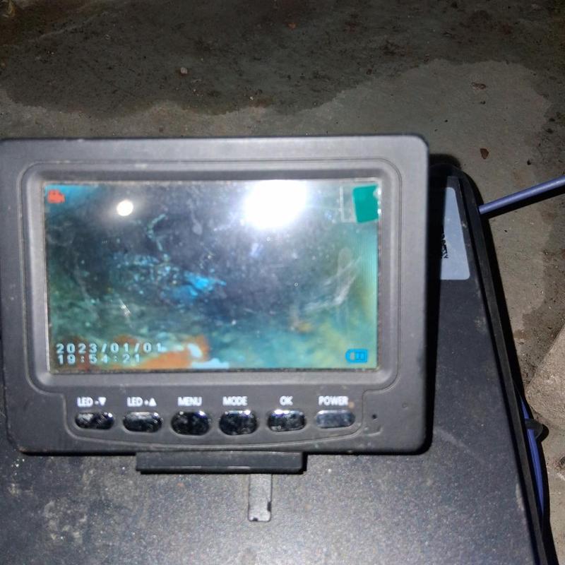 Drain inspection camera showing root intrusions in pipe