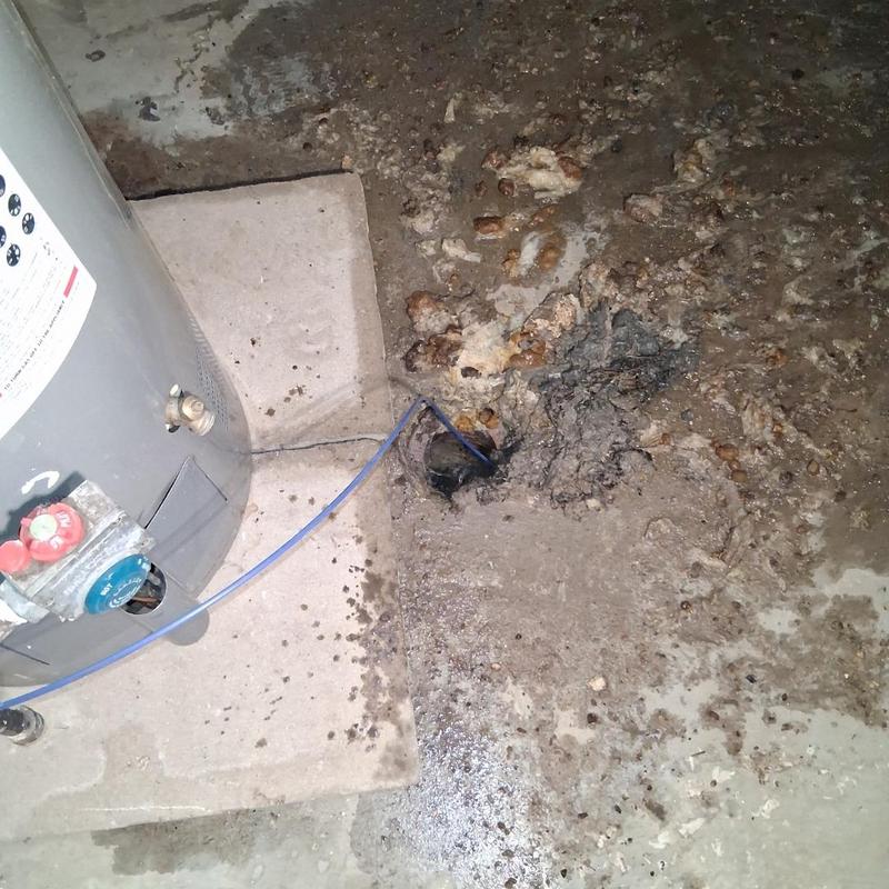 Main sewer line drain with root intrusion camera inspection