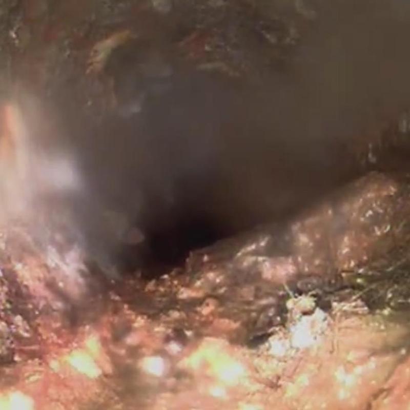 Main sewer line interior viewed by camera inspection Main sewer line interior viewed by camera inspection