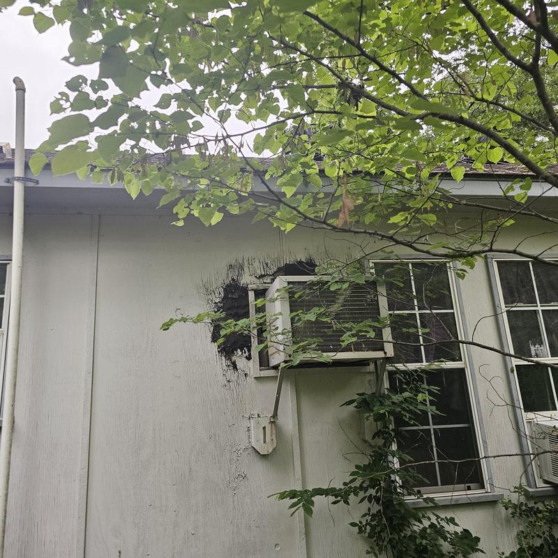 Window air conditioner with wall damage and vegetation