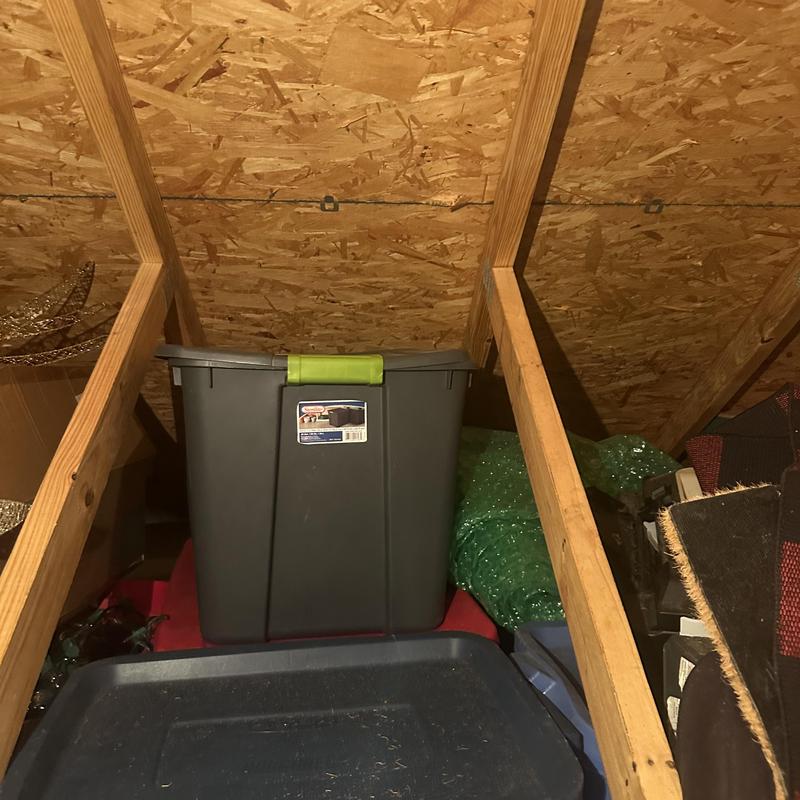 Garage roof structure framing with storage bins