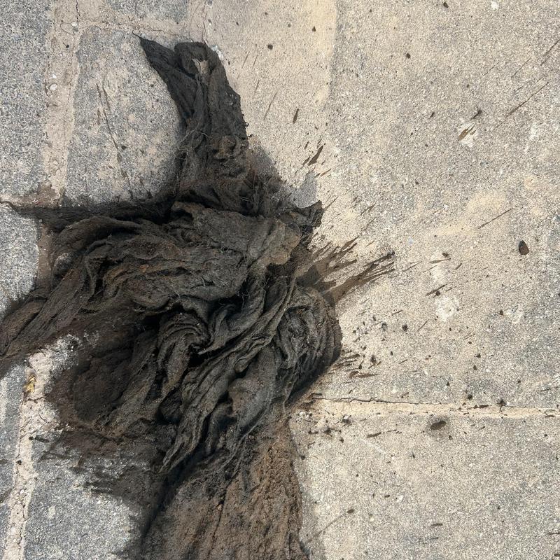 Main line clog debris removed on concrete surface