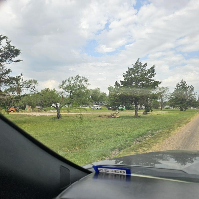 Rural roadside view with scattered trees and grassland