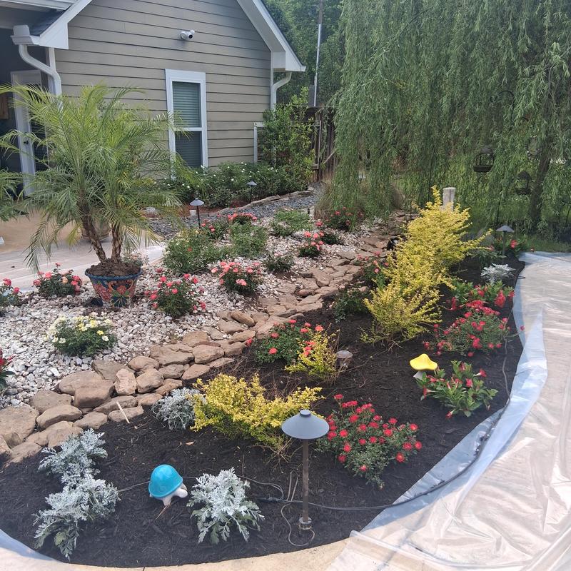 Accent lighting wiring in refurbished flower bed