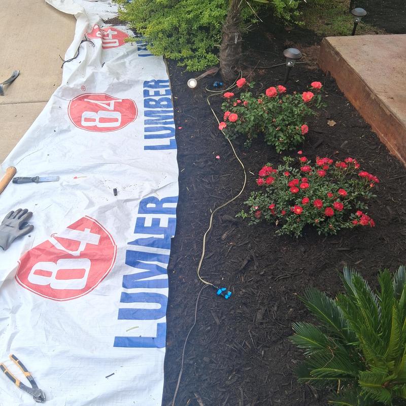 Accent lighting wiring in flower bed refurbishment