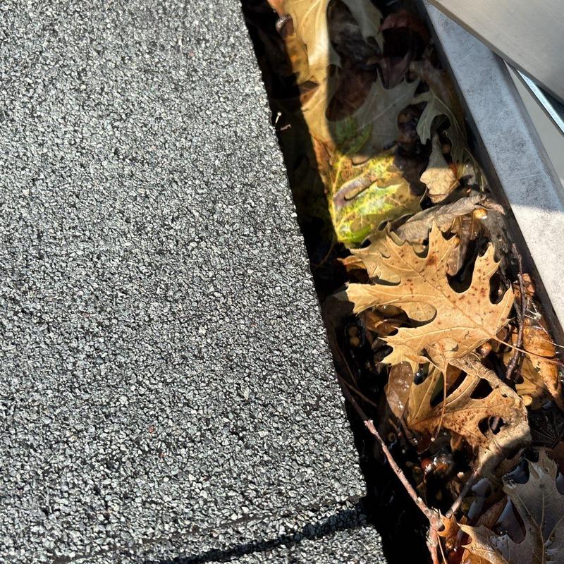 Gutter filled with leaves and debris near asphalt shingles