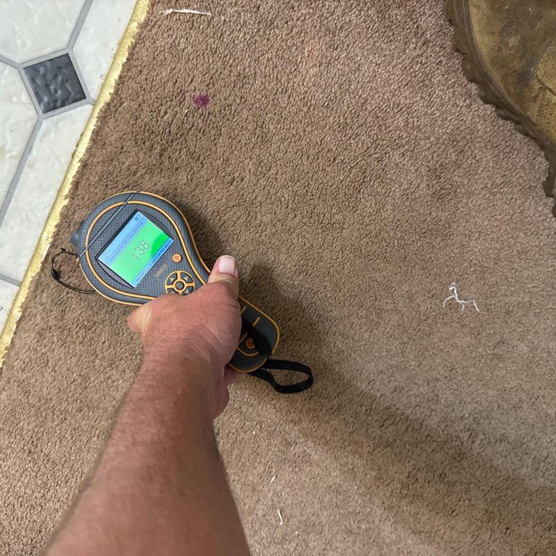 Carpet moisture meter reading on household floor