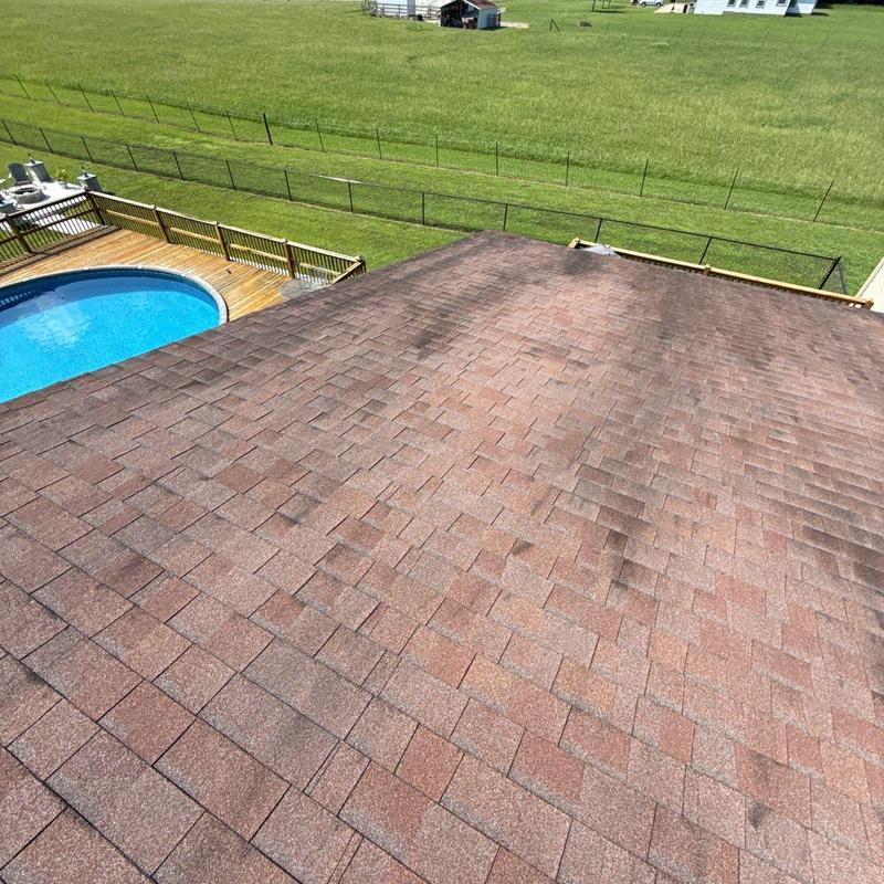 Roof shingles with hail damage and granule loss