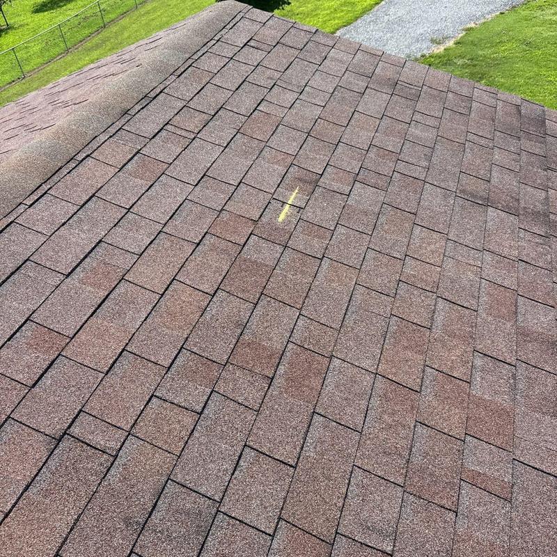 Asphalt roof shingles with hail damage marked