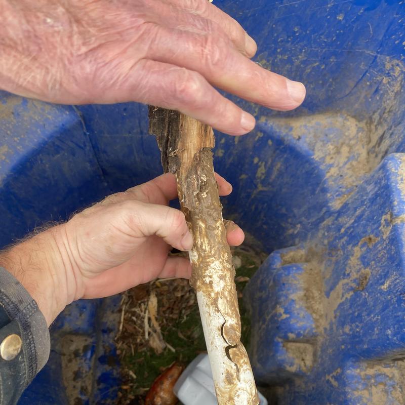 Sprinkler pipe with severe cracks and wood debris