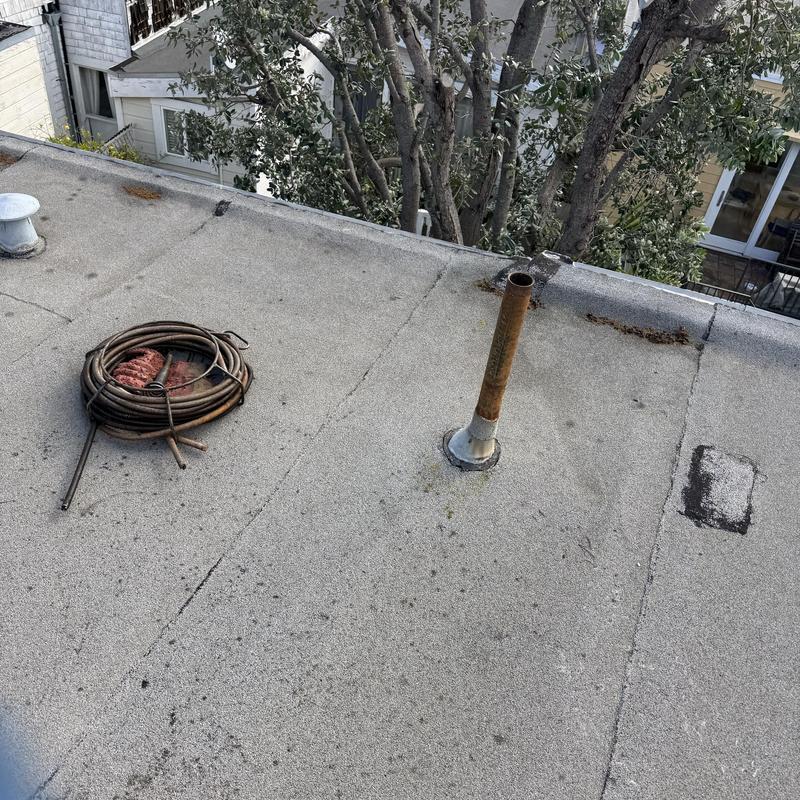 Roof vent drain line with plumbing snake coil