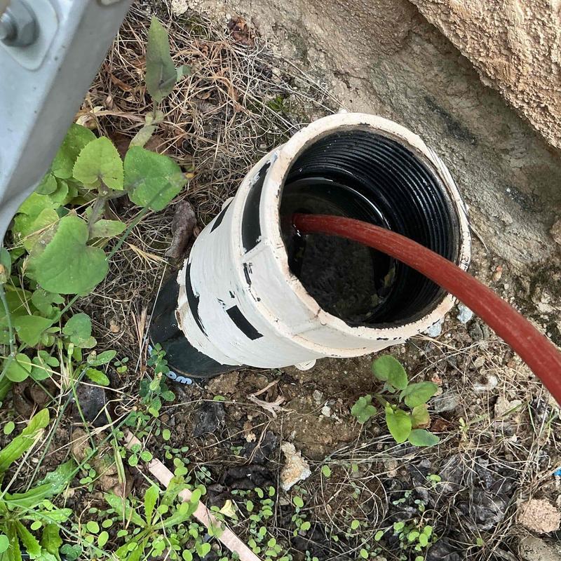 Drain cleanout with drain snake clearing blockage