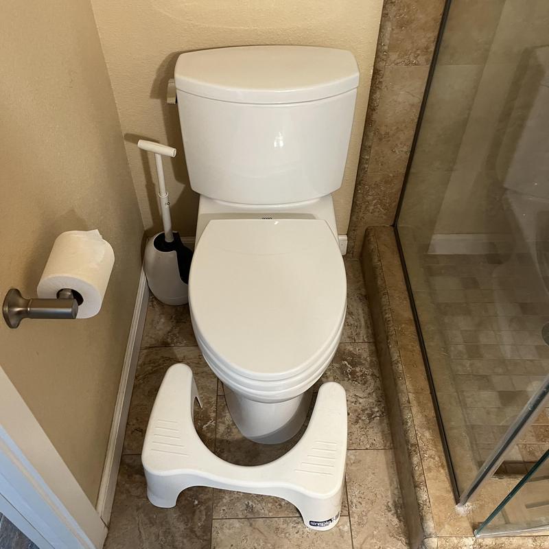 Toto Drake 2 toilet with shower and squat stool Toto Drake 2 toilet with shower and squat stool