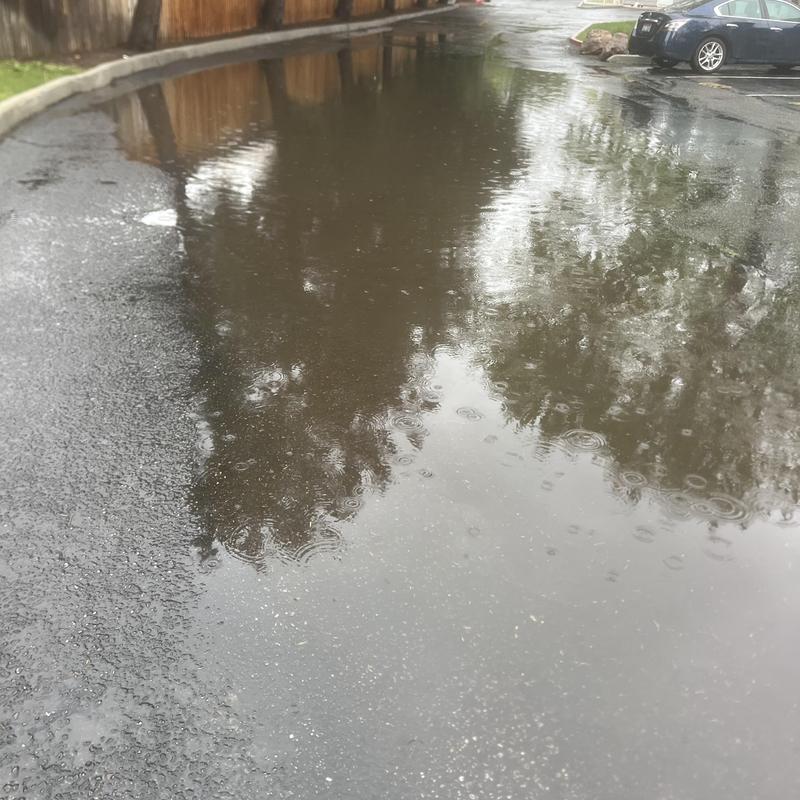 Stormwater drainage ponding on asphalt driveway Stormwater drainage ponding on asphalt driveway