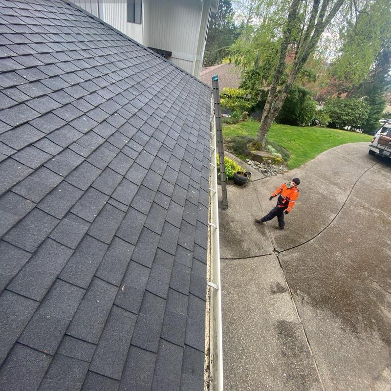 Roof shingles and gutter with cleaning equipment Roof shingles and gutter with cleaning equipment
