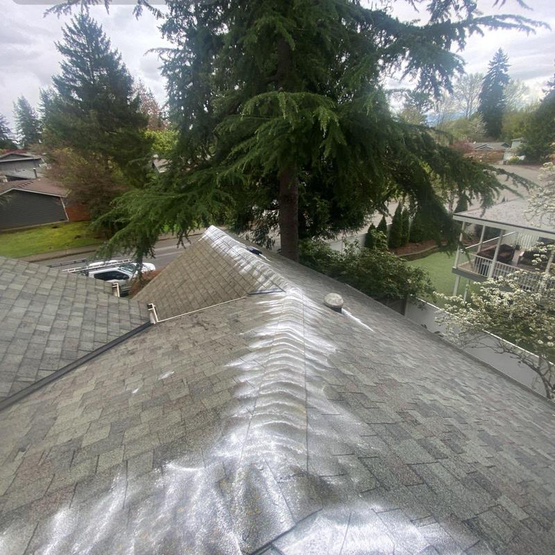 Roof shingles with moss treatment and cleaning residue Roof shingles with moss treatment and cleaning residue