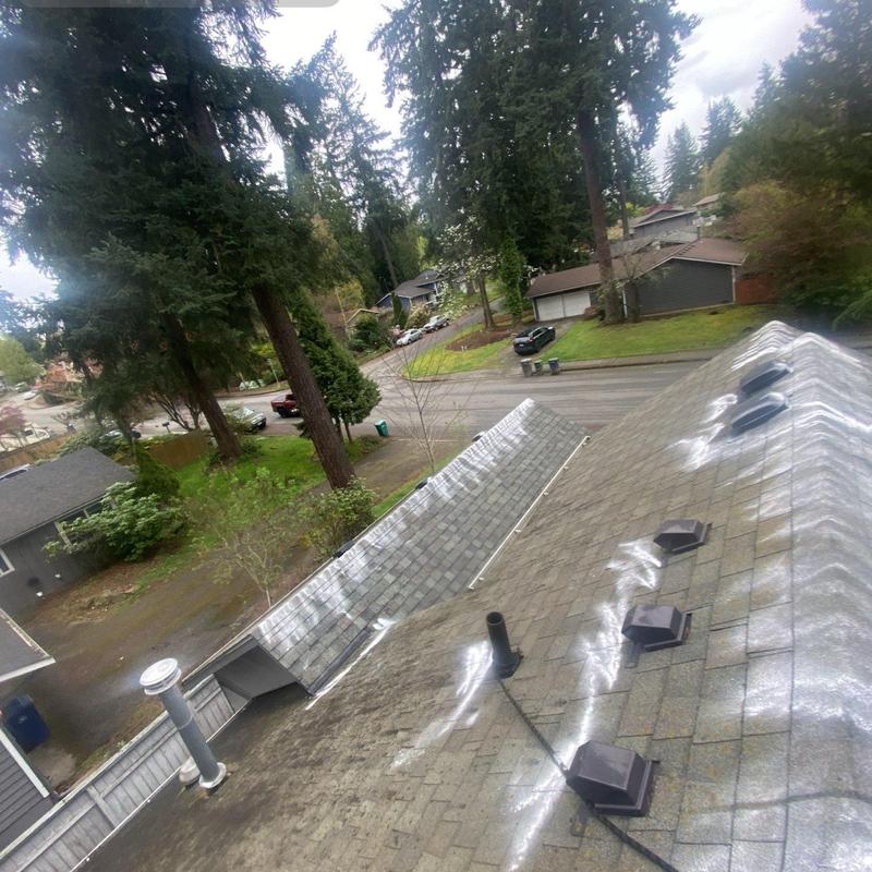 Roof shingles moss treatment and cleaning in Kirkland Roof shingles moss treatment and cleaning in Kirkland