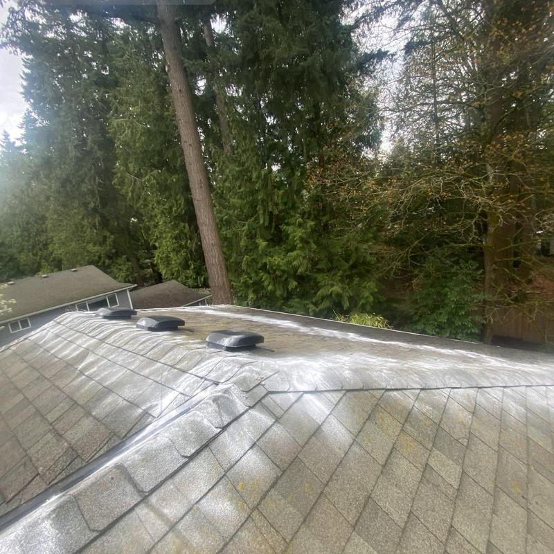 Roof shingles with moss treatment and cleaning in Kirkland Roof shingles with moss treatment and cleaning in Kirkland