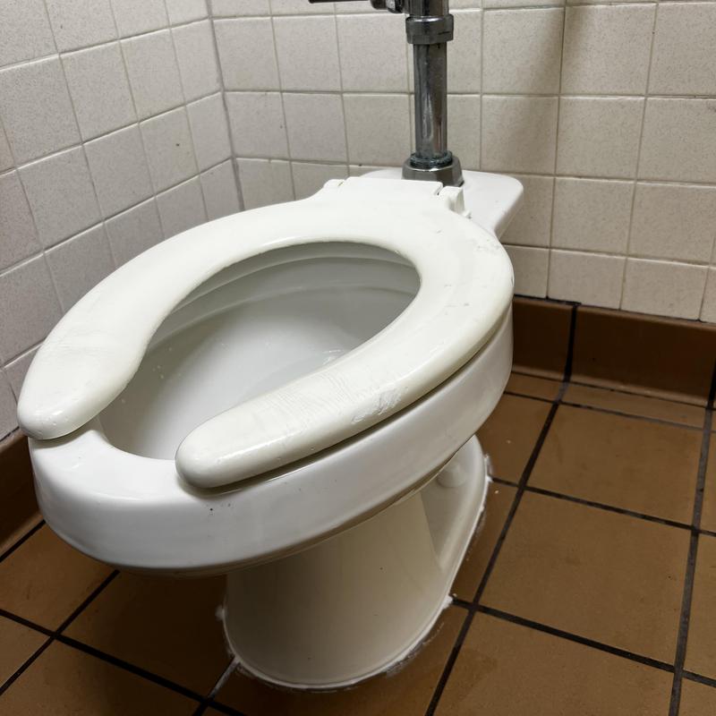 Toilet with new wax rings and shims installed Toilet with new wax rings and shims installed