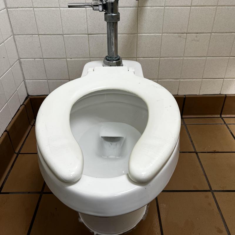 Toilet with new stems, wax rings, and shims installation Toilet with new stems, wax rings, and shims installation