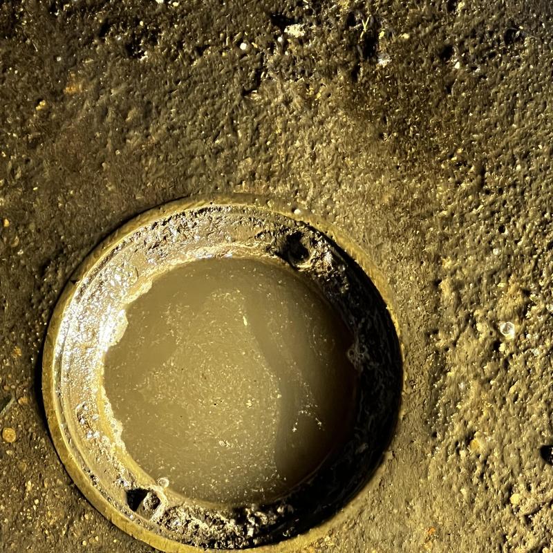 Floor drain clogged with standing dirty water Floor drain clogged with standing dirty water