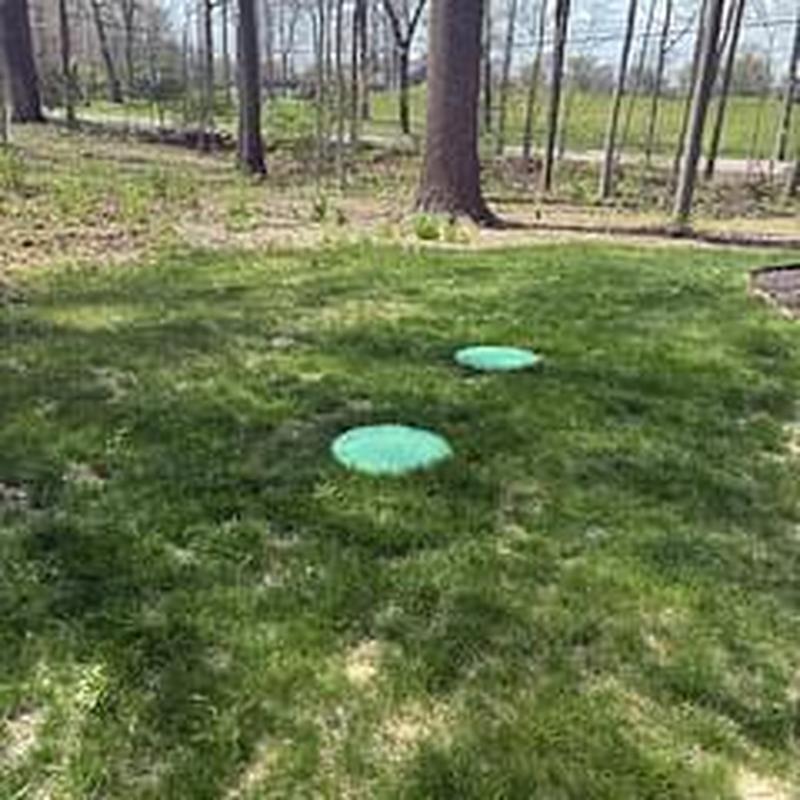 Septic tank lids in grassy backyard area