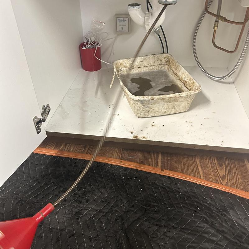 Drain cleaning snake inside kitchen cabinet basin trap Drain cleaning snake inside kitchen cabinet basin trap