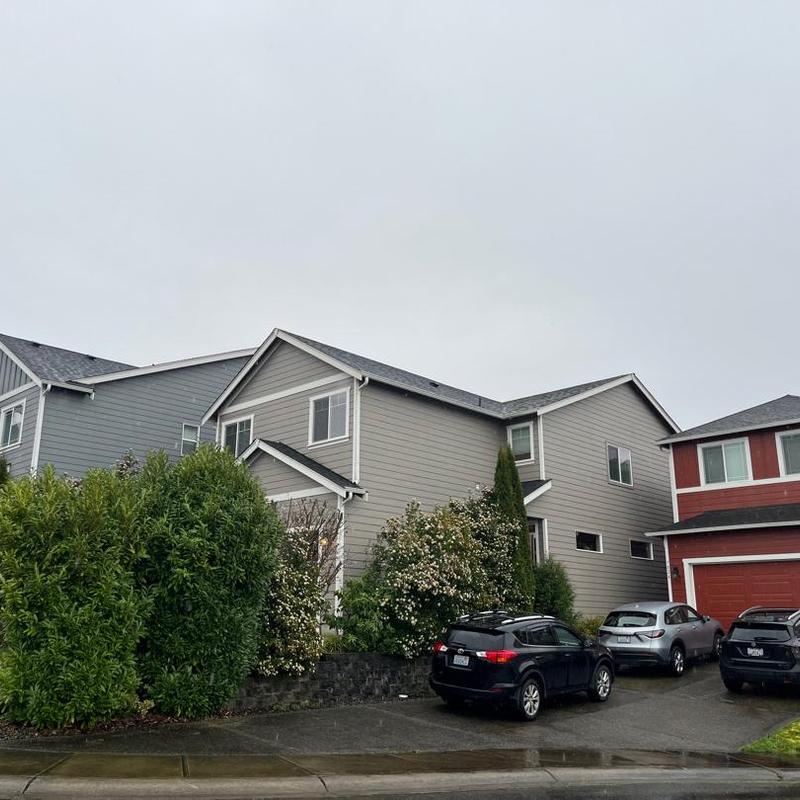 Asphalt shingle roof inspection on residential house