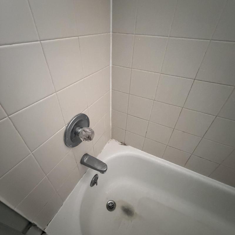 Bathtub faucet and tiled wall leak inspection in corner