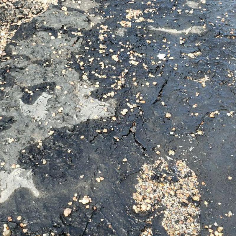 Tar and gravel flat roof with cracking and erosion