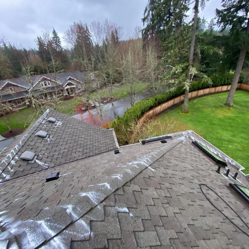Asphalt shingle roof with cleaning and moss treatment Asphalt shingle roof with cleaning and moss treatment