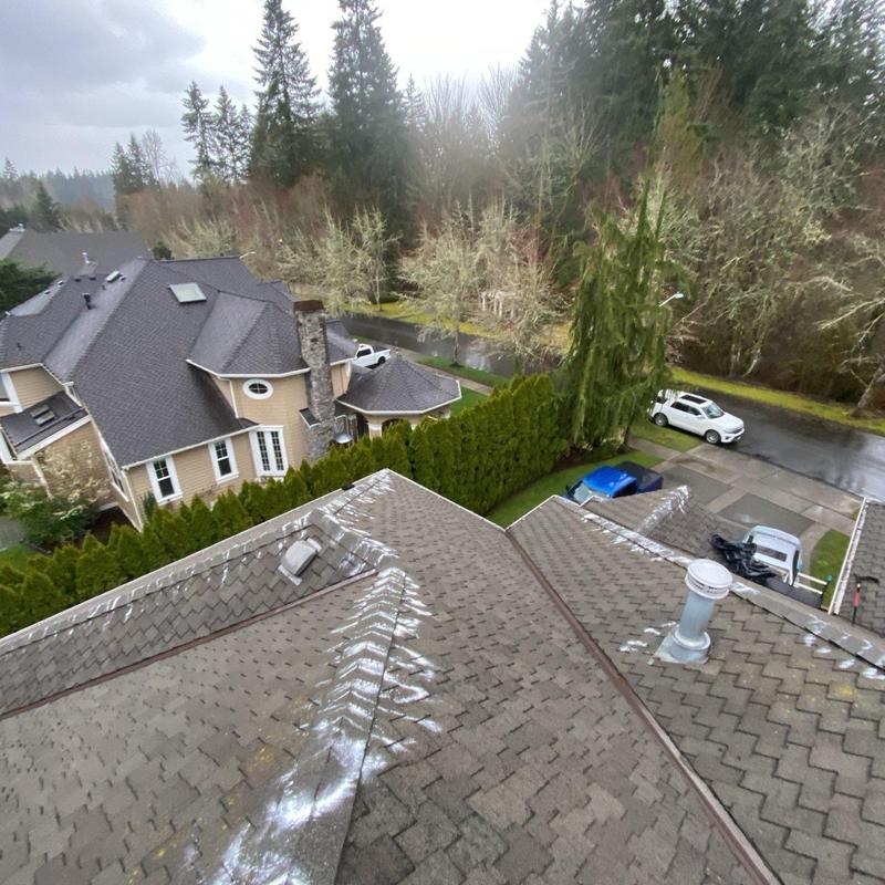 Asphalt shingle roof with cleaning treatment in Woodinville Asphalt shingle roof with cleaning treatment in Woodinville