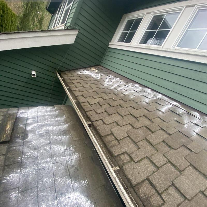 Roof shingles with moss treatment residue and gutters Roof shingles with moss treatment residue and gutters